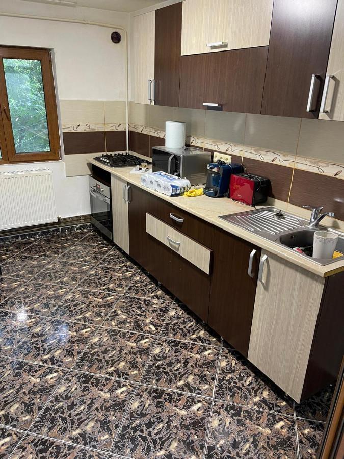 Royal Apartment Buzau Bagian luar foto
