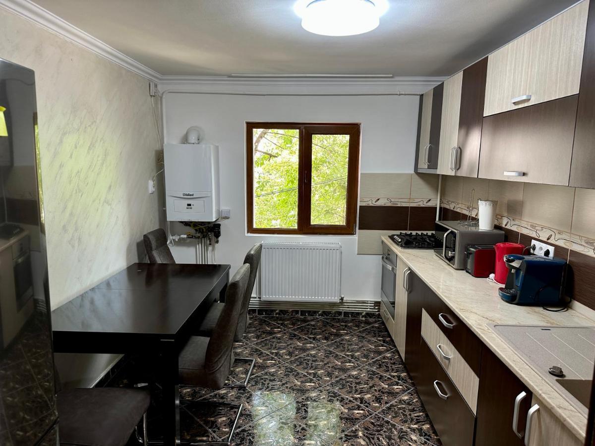 Royal Apartment Buzau Bagian luar foto